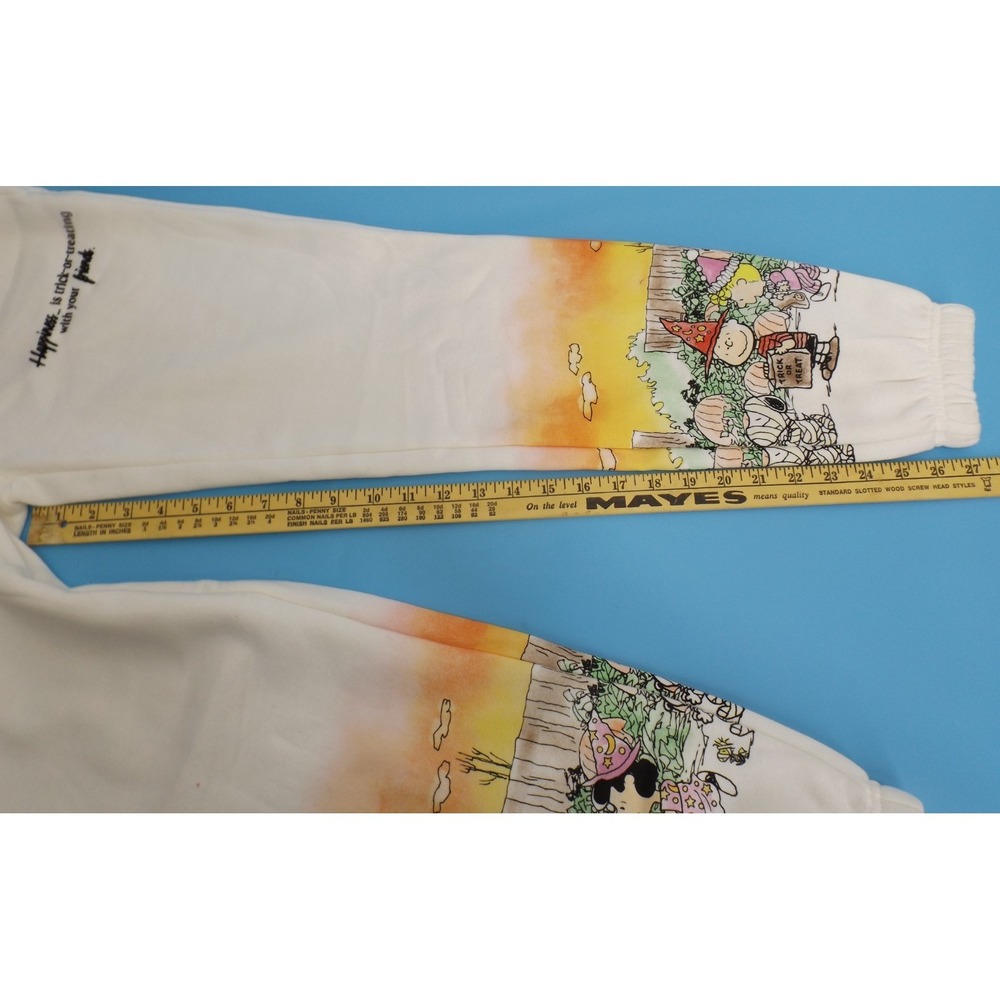Peanuts Women's Sunset Scene Graphic Jogger Sweat Pants - Size XS - Picture 15 of 15
